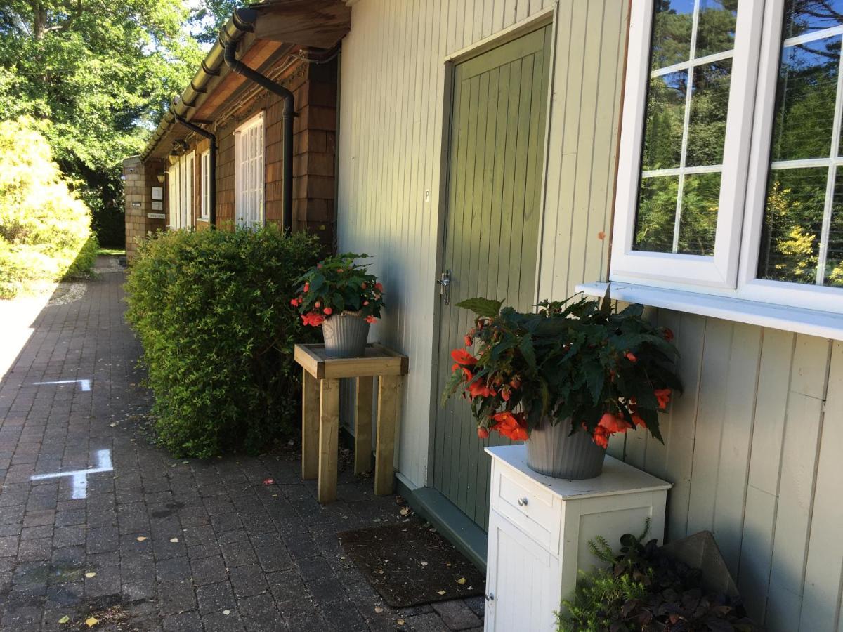 Petherton Cottage Studios Рингуд Екстериор снимка