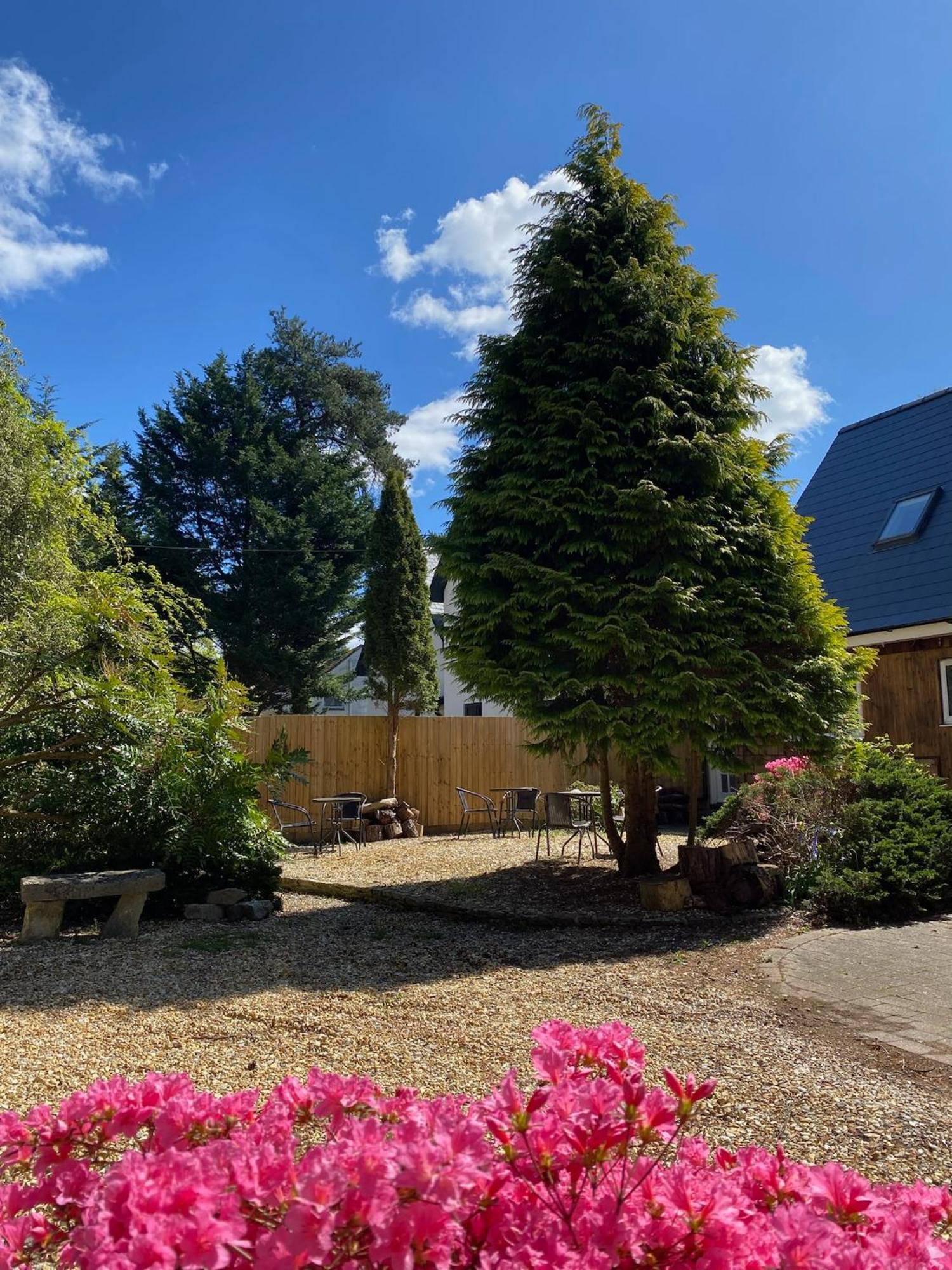 Petherton Cottage Studios Рингуд Екстериор снимка